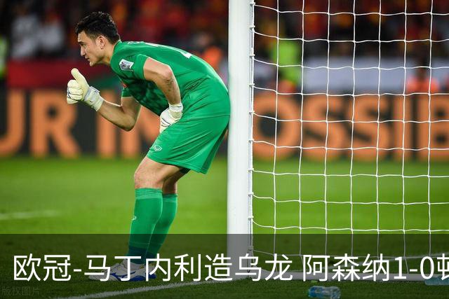 欧冠-马丁内利造乌龙 阿森纳1-0顿涅茨克矿工